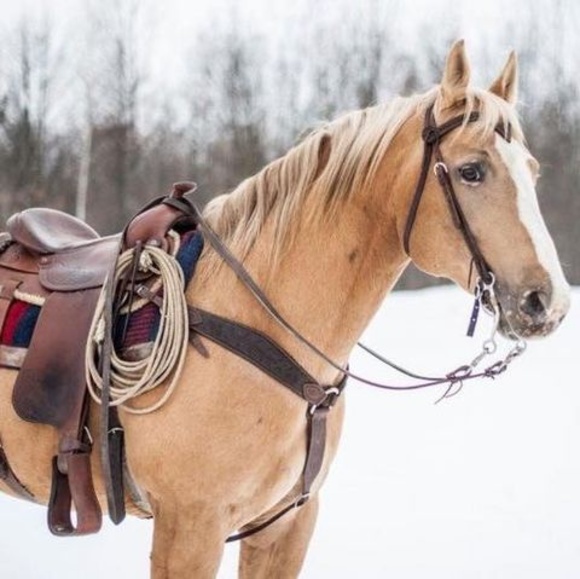 Meet your Posher, Elena - Picture 1 of 1